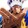 Zayn yves Joya_2787