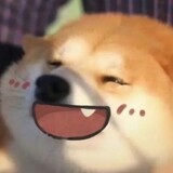 xingxingcaibushuijue