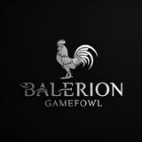 Balerion GF