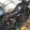 bili_1602001409