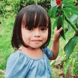 Shiela Montilla