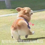 jojodeqimiaolixian_