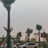 hoansinh