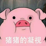-muzil-