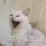 bujiao