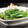 randallcrops_02