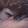 Benedict1_4_1