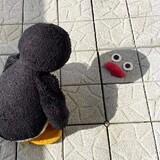 momingqimiaodeyebi
