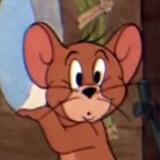 jerryzhuwyh