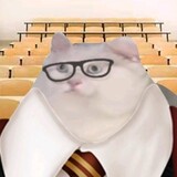 miaomiaomeiyoupiqi