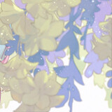 twelve_fish