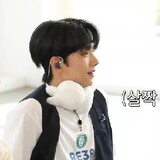 jingmiaomiaomiaomiao