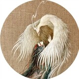 novacexujunqing