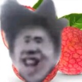 laodinipeiyongyouma