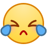 [cry]