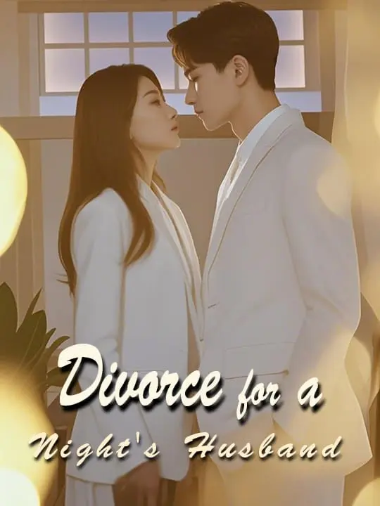 Divorce for a Night's Husband(Eng Dub)
