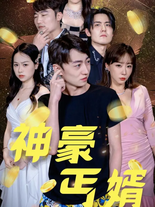 The Tycoon Beggar Son-in-Law