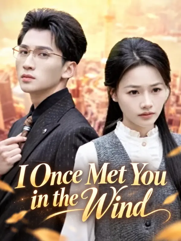 I Once Met You in the Wind