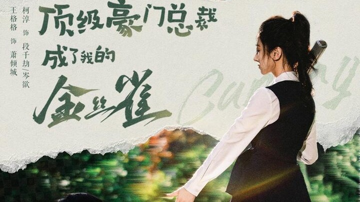 Tổng Tài Đỉnh Cấp Trở Thành Chim Hoàng Yến Của Tôi