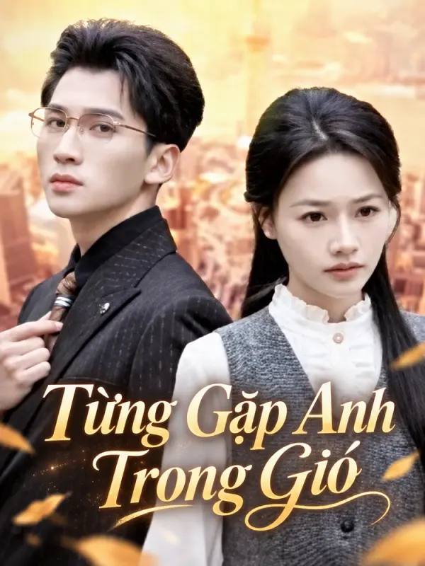 Từng Gặp Anh Trong Gió