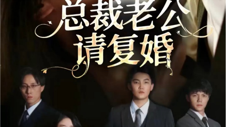 CEO Husband, Please Remarry Me