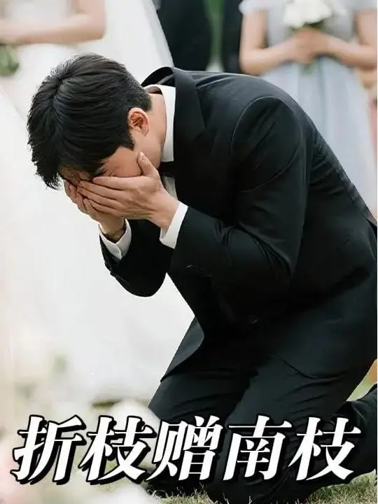 A Branch Broken Off and Given to Nan Zhi