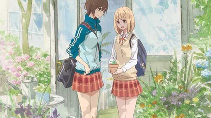 Morning Glory and Kase