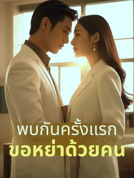 ทุ่มล้านหย่ารัก (พากย์ไทย)