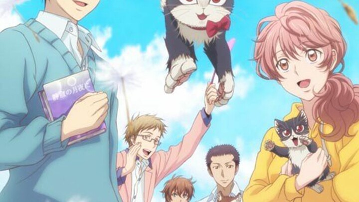 My Roommate is a Cat