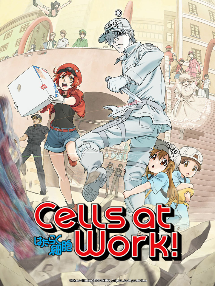 Cells at Work!