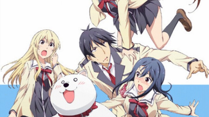 Aho Girl