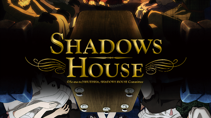 SHADOWS HOUSE