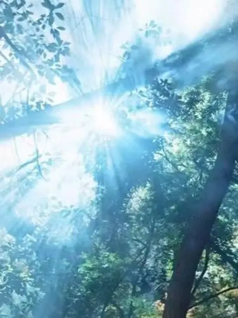 He Betrayed Me, So I Married His Uncle.