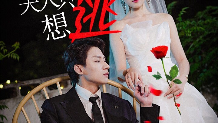 Tình Yêu Bị Giam Cầm: Tổng Tài Nhiếp, Đừng Đuổi Nữa, Phu Nhân Chỉ Muốn Trốn Thoát