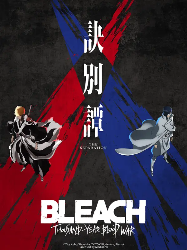 Bleach: Thousand-Year Blood War - The Separation