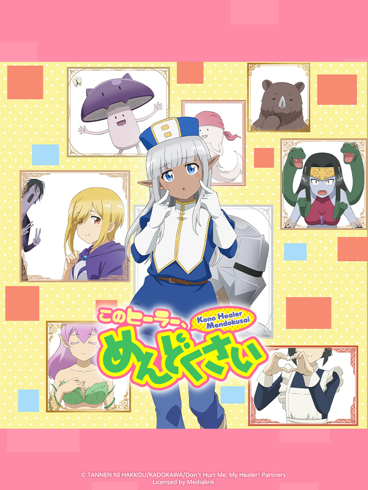 Don't Hurt Me, My Healer!