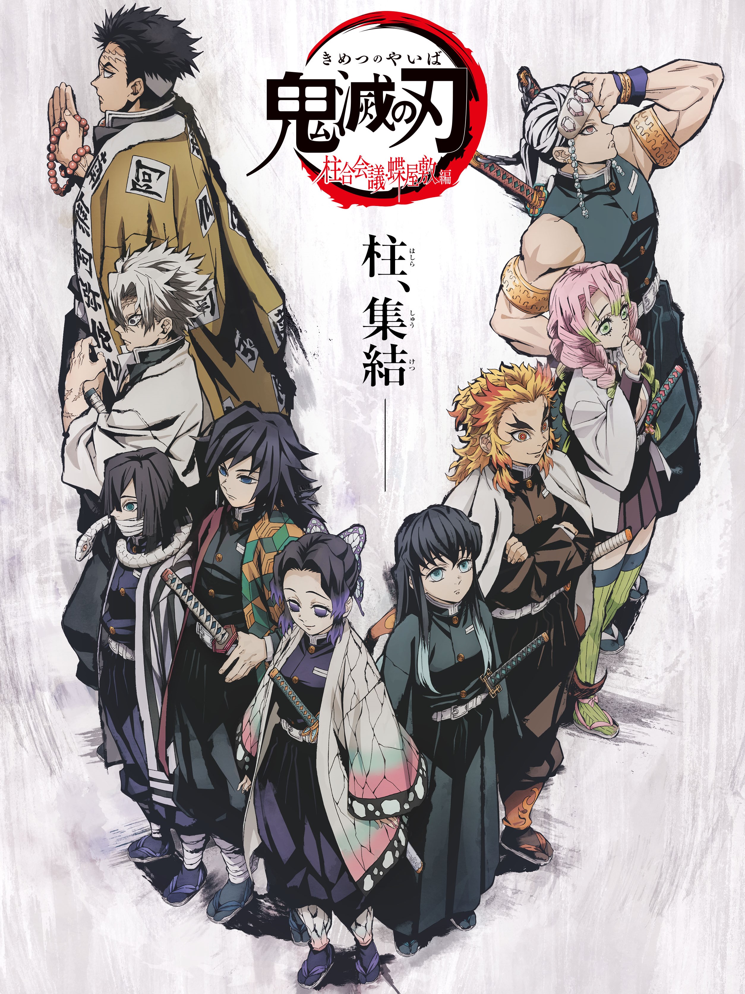 Demon Slayer: The Hashira Meeting Arc