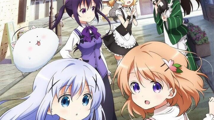 Is the Order a Rabbit??