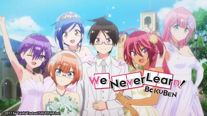 A TV anime adaptation of Bokutachi wa Benkyou ga Dekinai (We