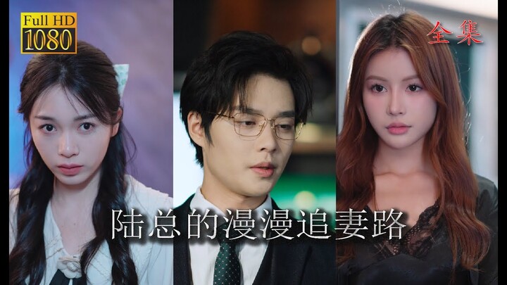 CEO Lu's Long Journey to Win Back His Wife