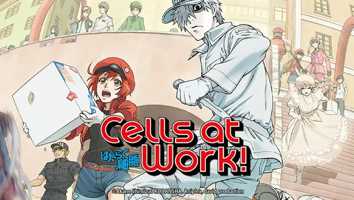 Hataraku Saibou/Cells at Work - Você conhece o seu Sangue? (Ep. 1) 