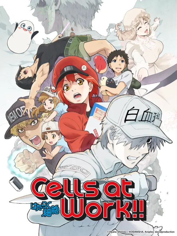 Cells at Work! S2