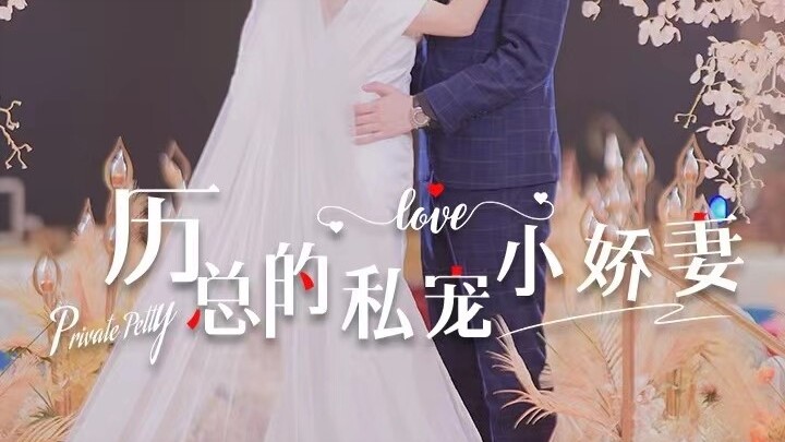 CEO Li's Pampered Little Wife