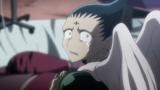 Hunter x Hunter (2011) - 1-148 - E92 - One Wish × And × Two Promises