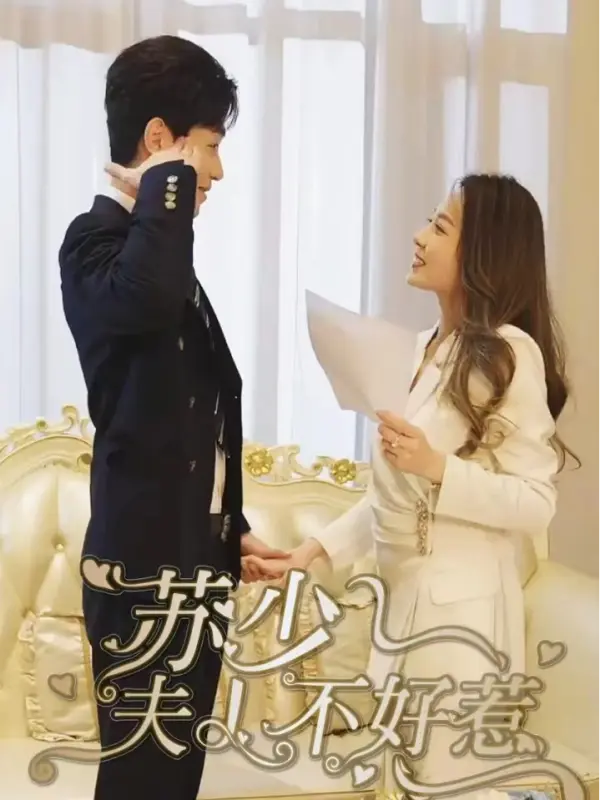 Don't Mess with Young Madam Su