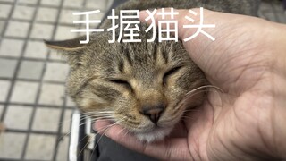 ครั้งนี้ฉันเรียนรู้ที่จะฉลาดขึ้นแล้ว