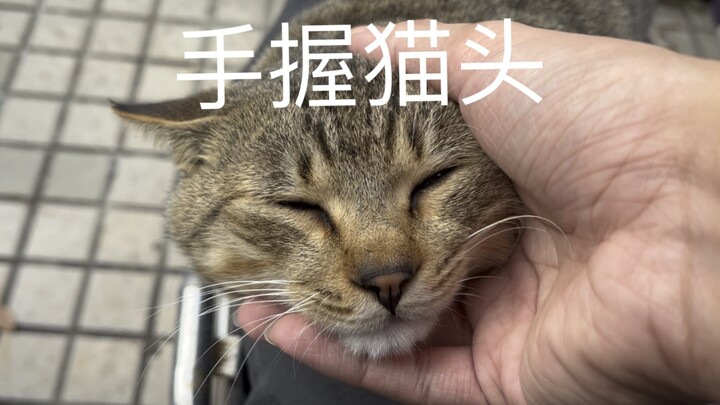 هذه المرة أصبحت أكثر ذكاءً