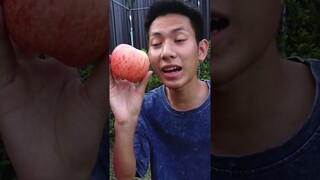 ผลไม้ กลายเป็นรูบิค ตู้แลกของ