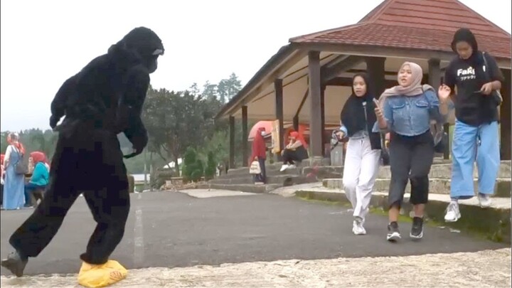 Si Mongki Usil jahil tapi kocak || Funny prank in public
