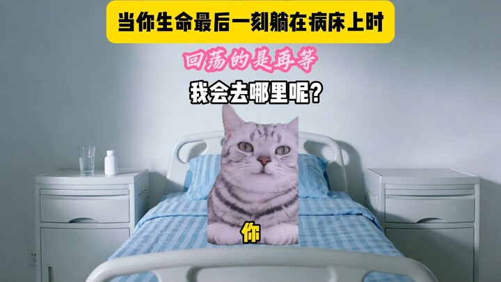 Khi giây phút cuối cùng của cuộc đời bạn, bạn nằm trên giường bệnh